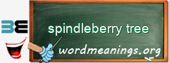 WordMeaning blackboard for spindleberry tree